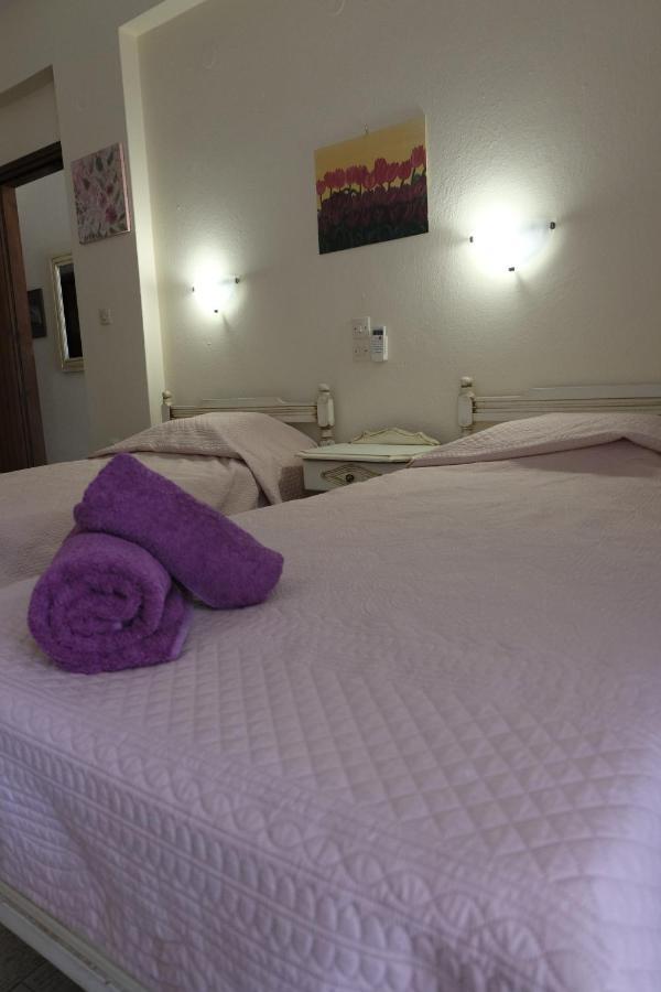 Taxiarchis Apartments Skiathos Exterior foto
