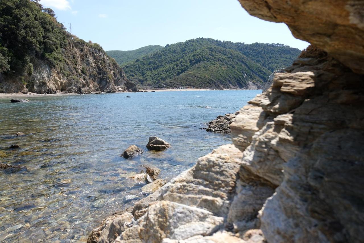 Taxiarchis Apartments Skiathos Exterior foto